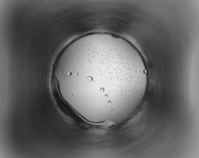 X0000088681245200706141348
