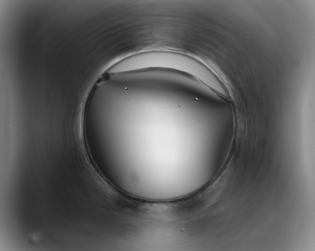 X0000088681246200706141348