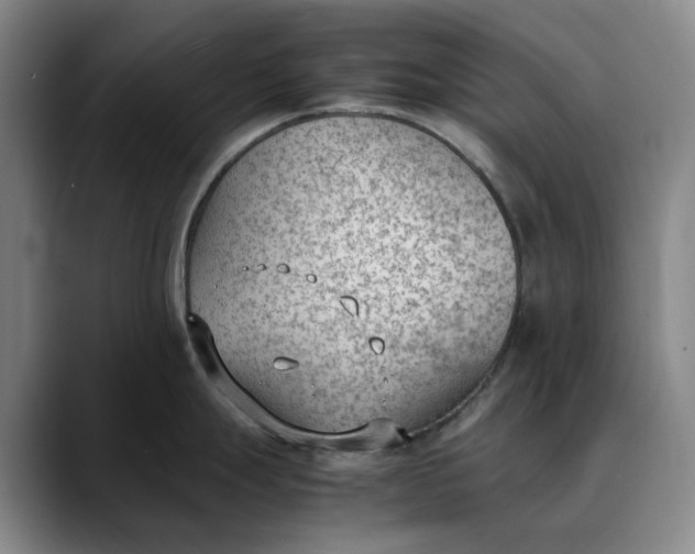 X0000088681247200706141348