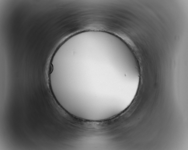 X0000088681248200706141348