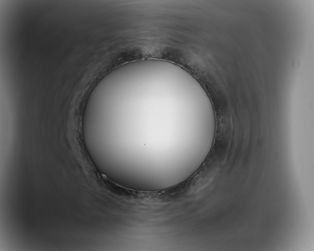 X0000088681249200706141348