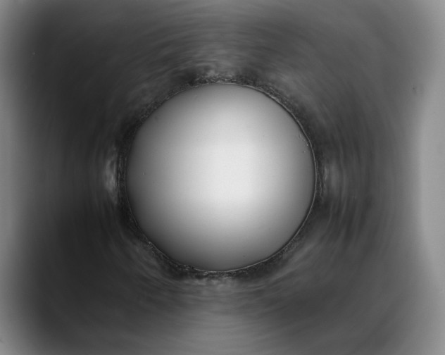 X0000088681250200706141348
