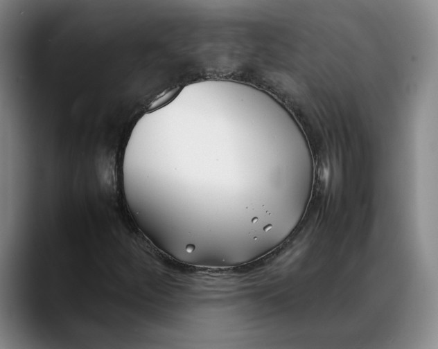 X0000088681252200706141348