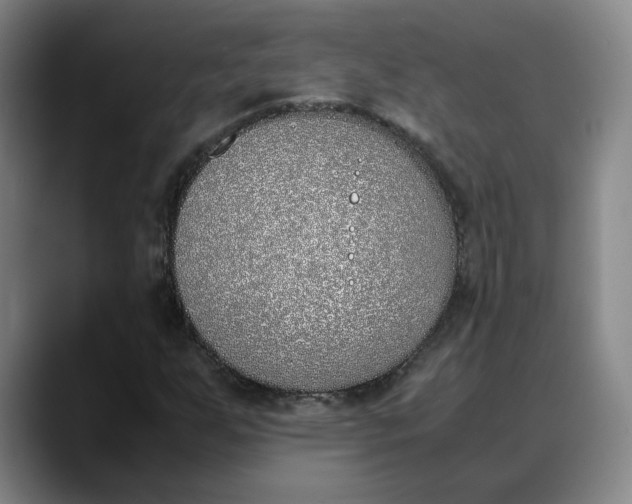 X0000088681255200706141348
