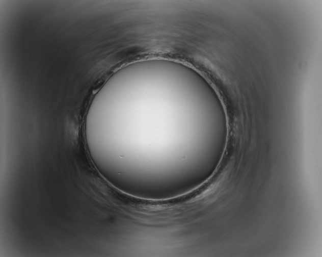X0000088681257200706141348