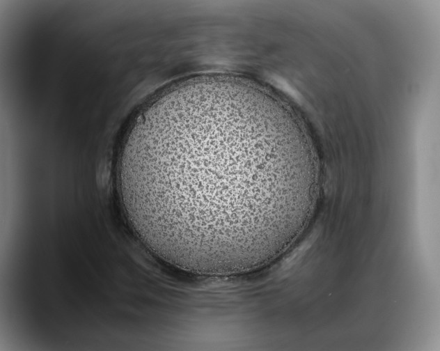 X0000088681259200706141348