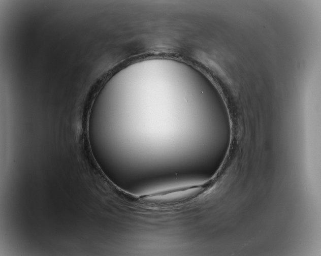 X0000088681261200706141348