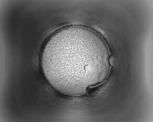 X0000088681263200706141348