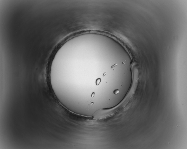 X0000088681264200706141348