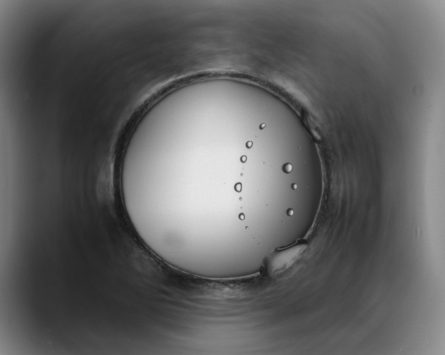X0000088681270200706141348