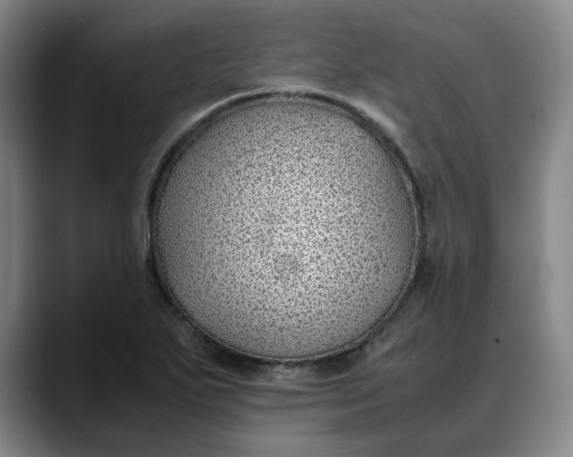 X0000088681271200706141348