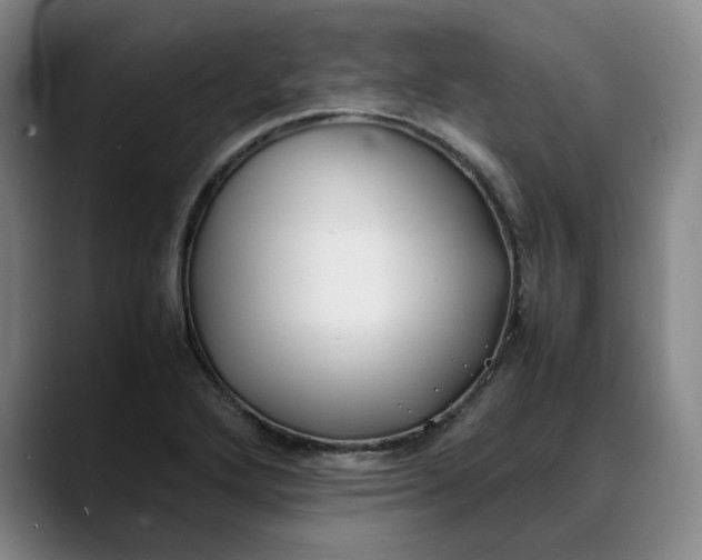 X0000088681272200706141348