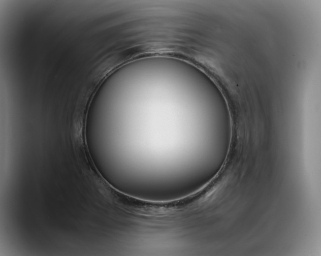X0000088681273200706141348