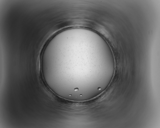X0000088681275200706141348