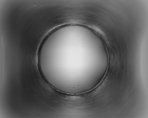 X0000088681280200706141348