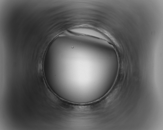 X0000088681281200706141348