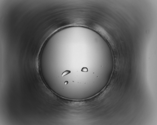 X0000088681284200706141348