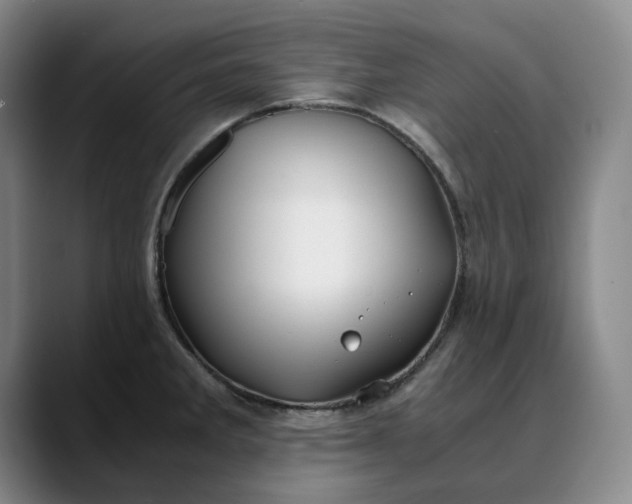 X0000088681285200706141348
