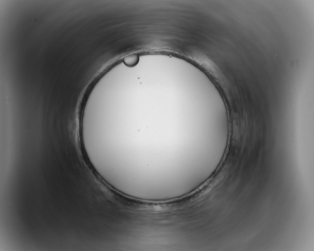 X0000088681286200706141347