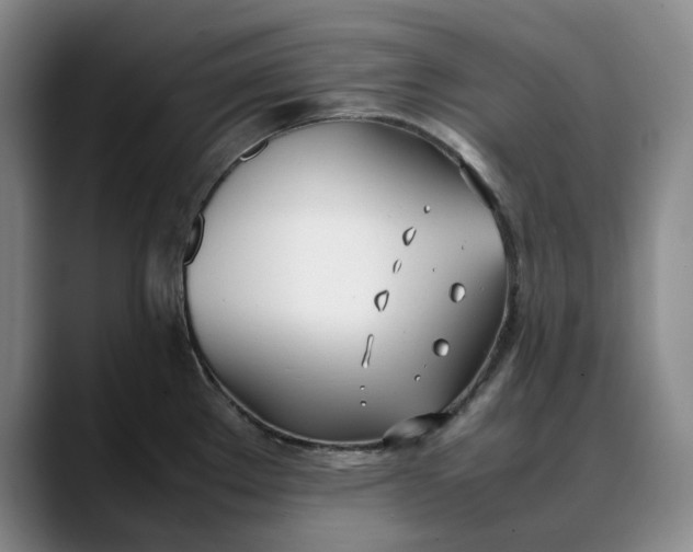 X0000088681289200706141347