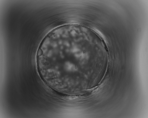 X0000088681291200706141347