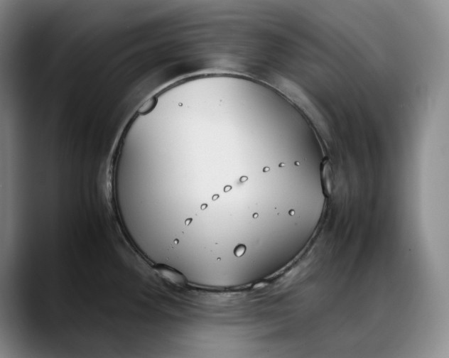 X0000088681292200706141347