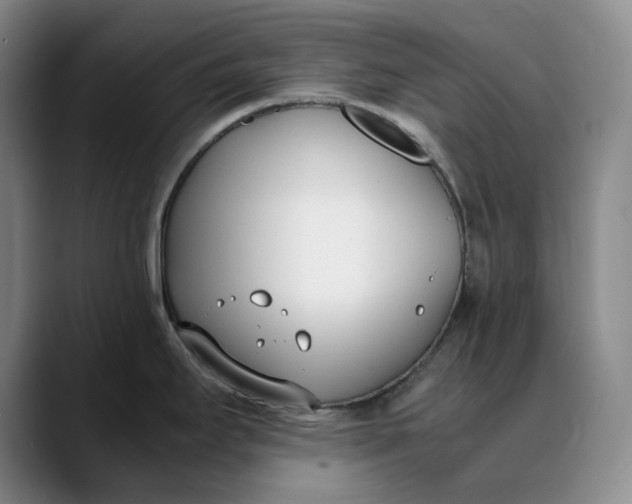X0000088681295200706141347