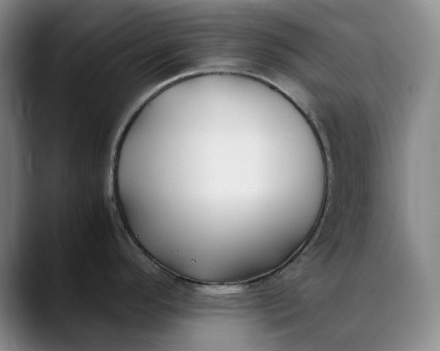 X0000088681296200706141347