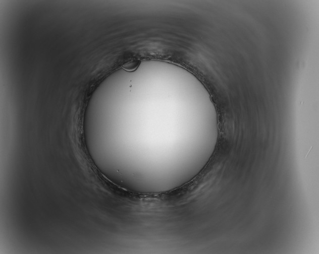 X0000088681297200706141347