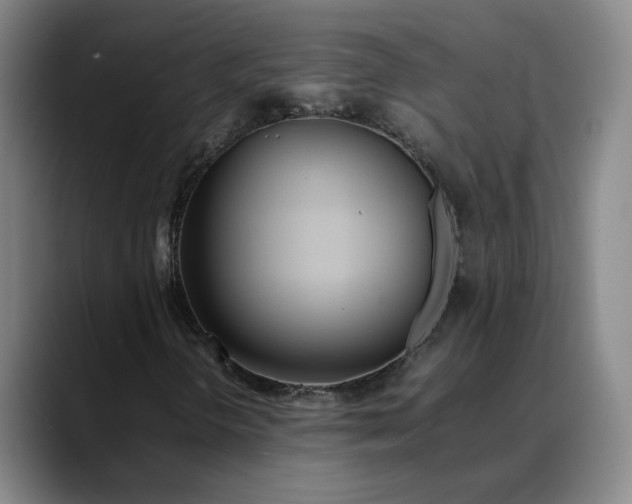 X0000088681298200706141347