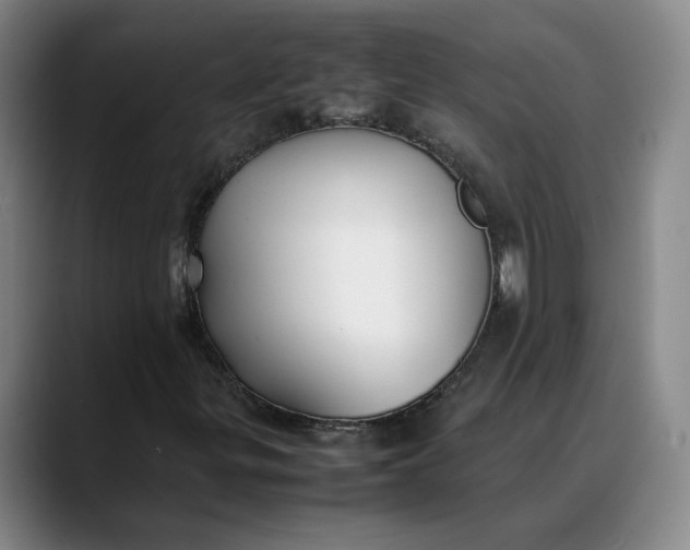 X0000088681299200706141347