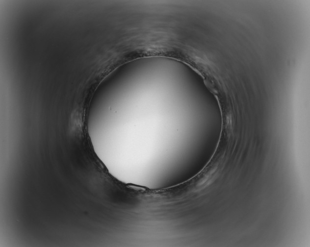X0000088681300200706141347
