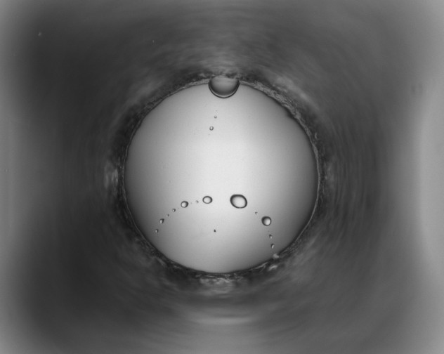X0000088681302200706141347