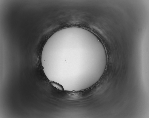 X0000088681303200706141347