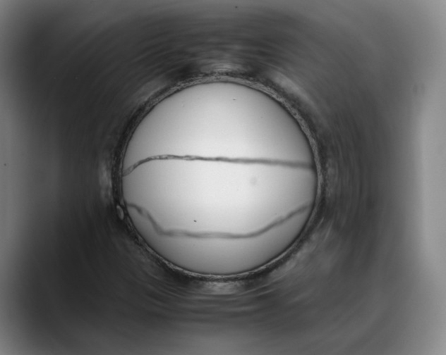 X0000088681305200706141347