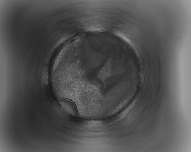 X0000088681306200706141347