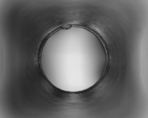 X0000088681308200706141347