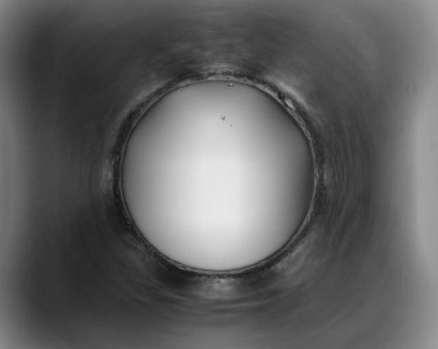 X0000088681309200706141347