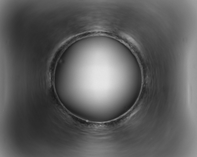 X0000088681310200706141347
