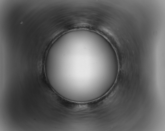 X0000088681313200706141347