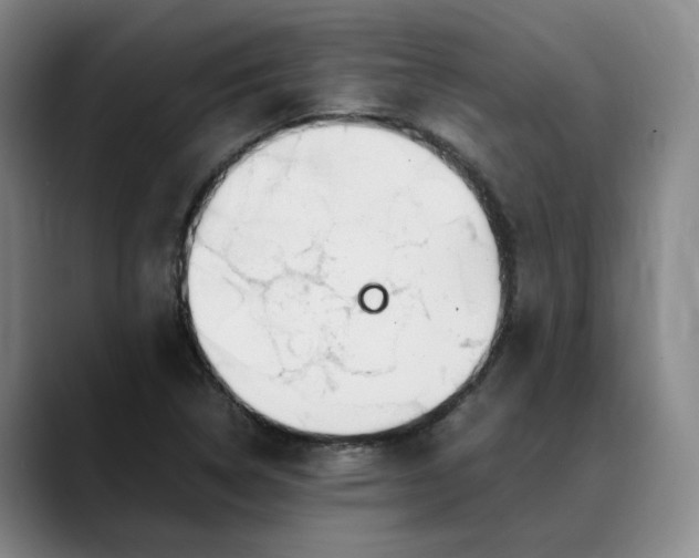 X0000088681314200706141347