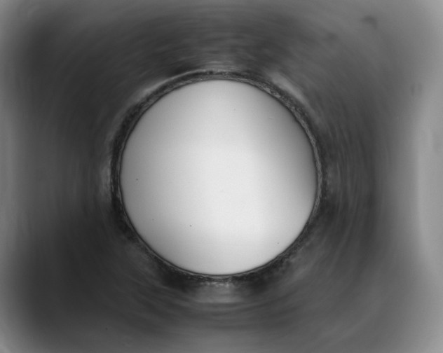X0000088681315200706141347