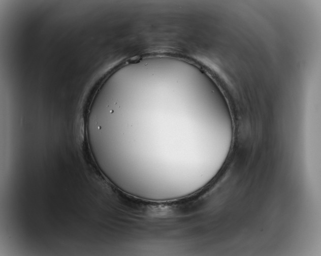 X0000088681317200706141347