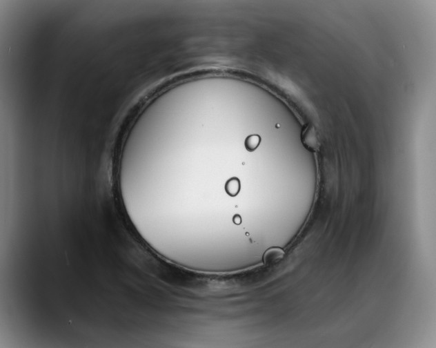 X0000088681318200706141347
