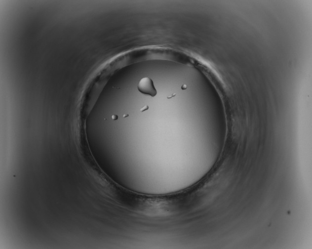 X0000088681319200706141347