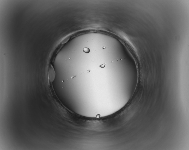 X0000088681320200706141347