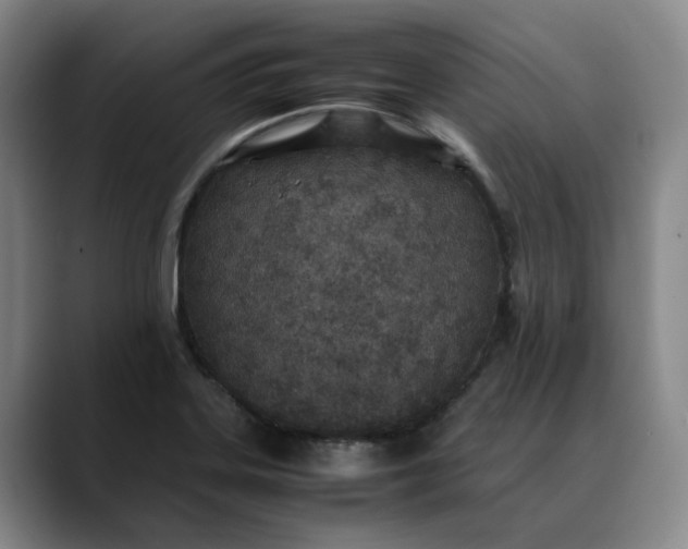 X0000088681323200706141347