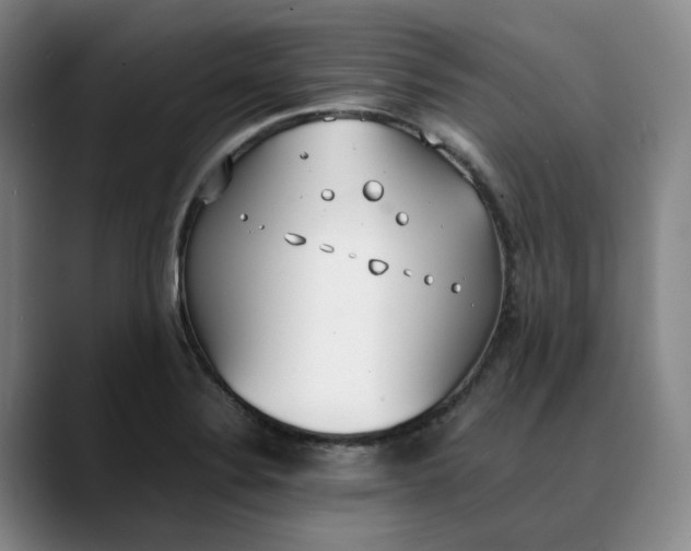 X0000088681324200706141347