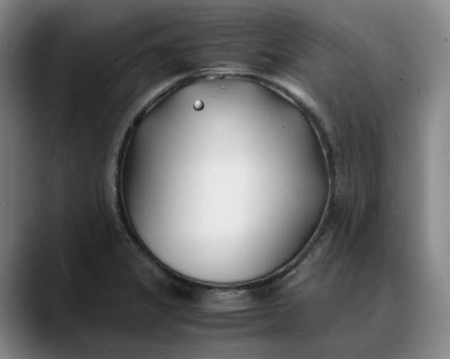 X0000088681325200706141347