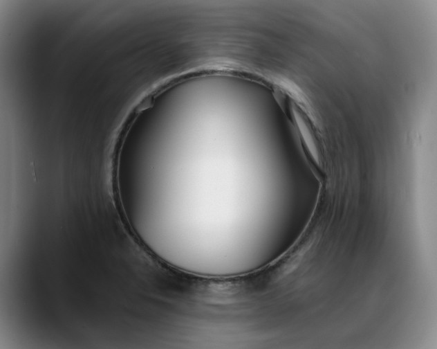 X0000088681326200706141347